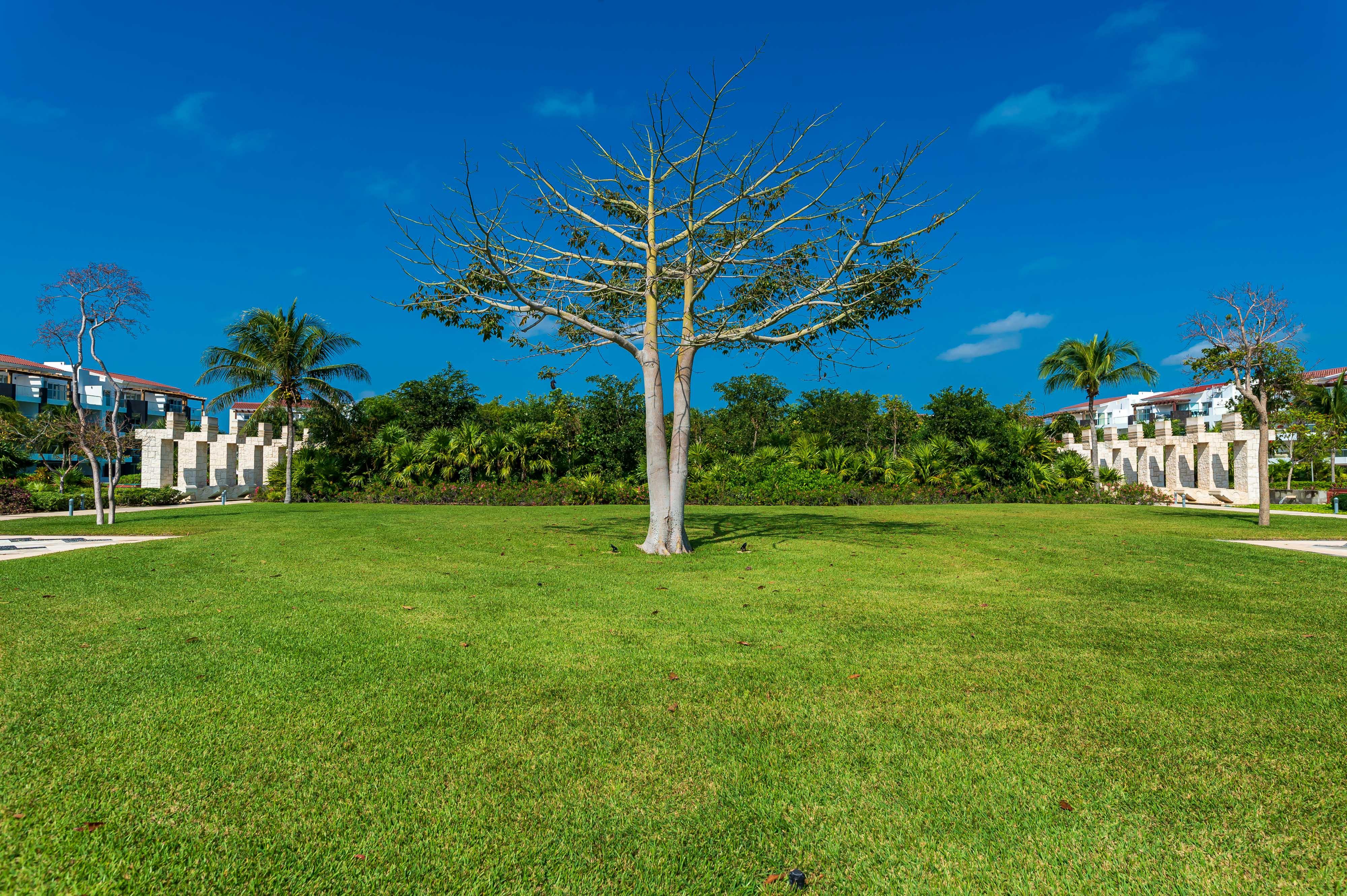 Mareazul Beach Front Resort Плая дел Кармен Екстериор снимка